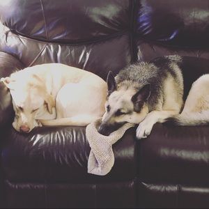 Meet your Posher, Lisa